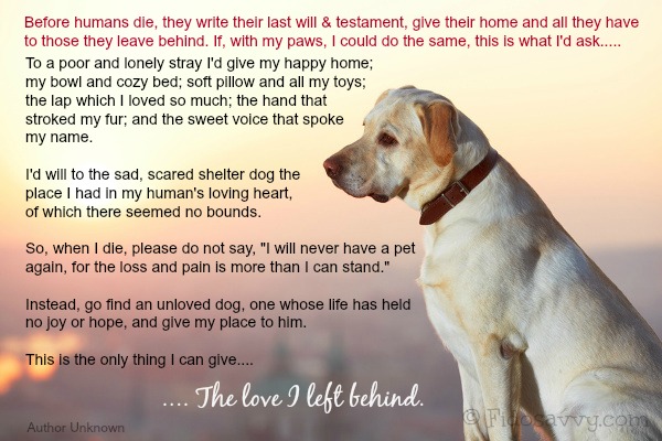 dog-rainbow-bridge-memorials-for-much-loved-pets