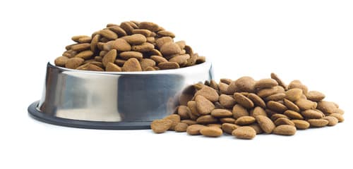 how to make hard dog food soft for puppies