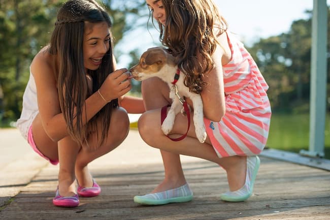 why do dogs lick babies feet