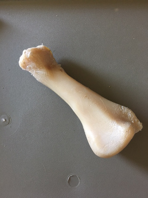 indestructible dog bone